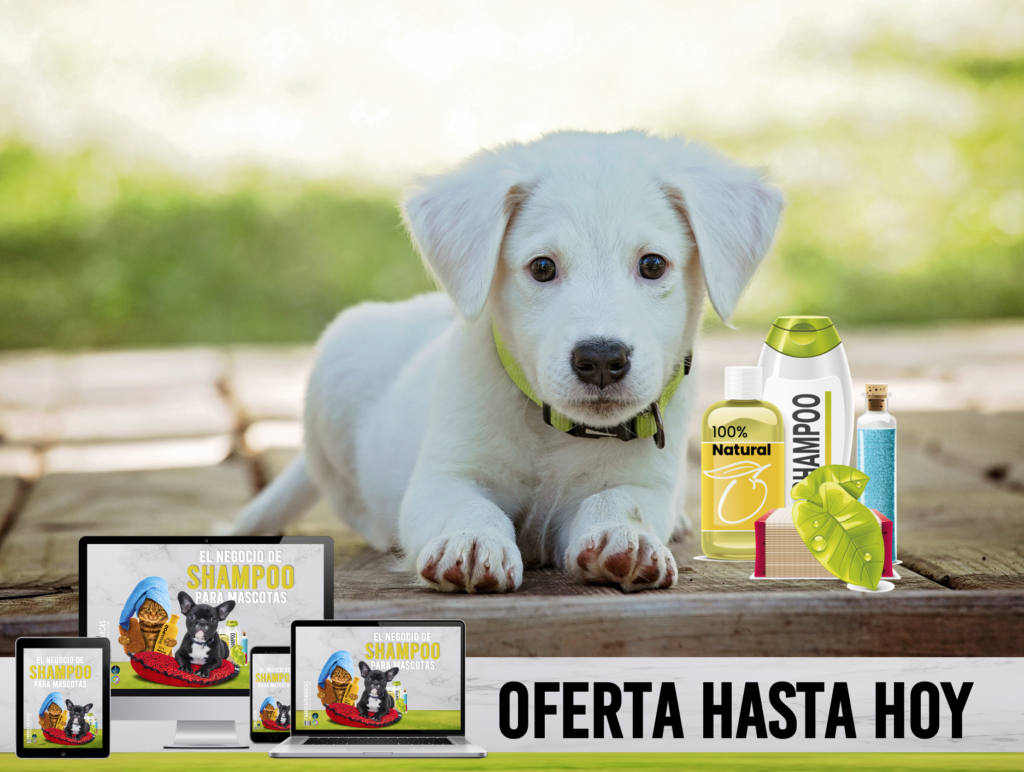 Shampoo para mascotas